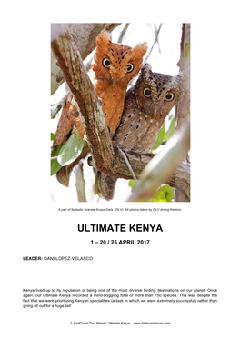 Ultimate Kenya