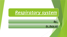 Respiratory System