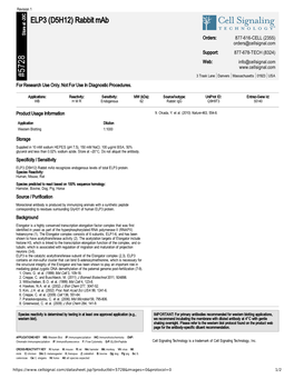 ELP3 (D5H12) Rabbit Mab A