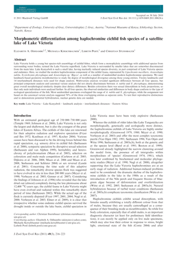 Morphometric Differentiation Among Haplochromine Cichlid Fish Species