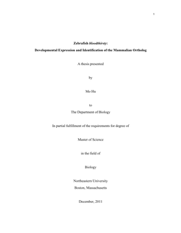 Zebrafish Bloodthirsty: Developmental Expression and Identification of the Mammalian Ortholog