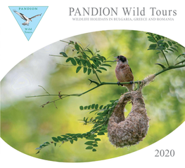2020 PANDION WILD TOURS Dear Wildlife Lovers, Rare Reptiles and Amphibians