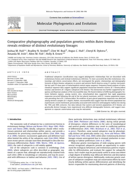 Comparative Phylogeography and Population Genetics Within Buteo Lineatus Reveals Evidence of Distinct Evolutionary Lineages