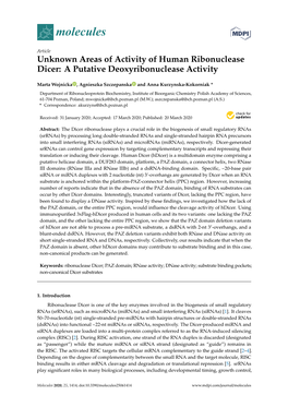 Unknown Areas of Activity of Human Ribonuclease Dicer: a Putative Deoxyribonuclease Activity