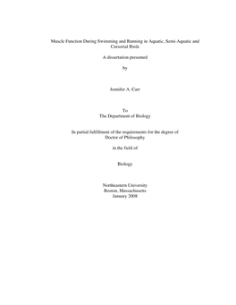 Muscle Function During Swimming and Running in Aquatic, Semi-Aquatic and Cursorial Birds