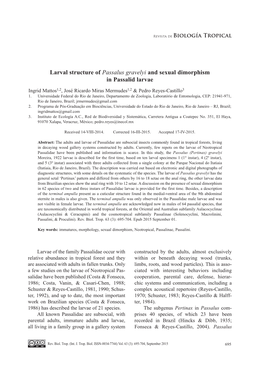 Larval Structure of Passalus Gravelyi and Sexual Dimorphism in Passalid Larvae