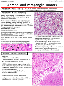 Adrenal and Paraganglia Tumors Adrenal Cortical Tumors IHC: (+) SF1, Inhibin, Melan-A, Calretinin, Synaptophysin, (-) Chromogranin, Cytokeratin, S100