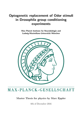 Optogenetic Replacement of Odor Stimuli in Drosophila Group Conditioning Experiments