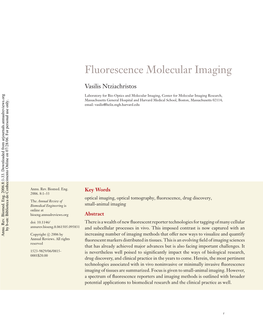 Fluorescence Molecular Imaging