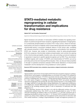 STAT3-Mediated Metabolic Reprograming in Cellular Transformation and Implications for Drug Resistance