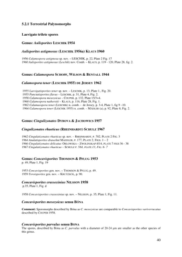 40 5.2.1 Terrestrial Palynomorphs Laevigate Trilete Spores