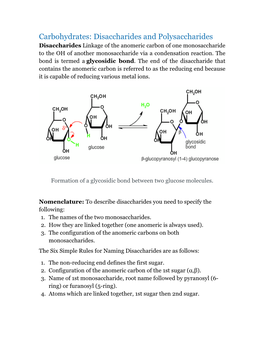 Carbohydrates: Disaccharides and Polysaccharides