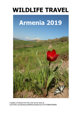 Wildlife Travel Armenia 2019
