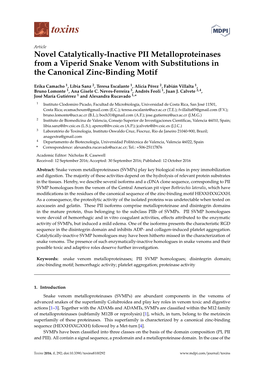 Novel Catalytically-Inactive PII Metalloproteinases from a Viperid Snake Venom with Substitutions in the Canonical Zinc-Binding Motif