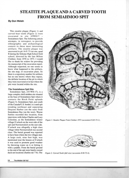 STEATITE PLAQUE and a CARVED TOOTH from SEMIAHMOO SPIT by Don Welsh