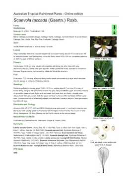 Scaevola Taccada (Gaertn.) Roxb. Family: Goodeniaceae Roxburgh, W