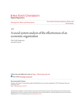 A Social System Analysis of the Effectiveness of an Economic Organization Otto Carlo Sampson Jr