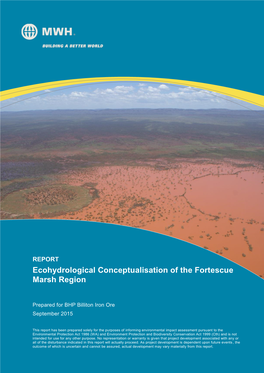 Ecohydrological Conceptualisation of the Fortescue Marsh Region