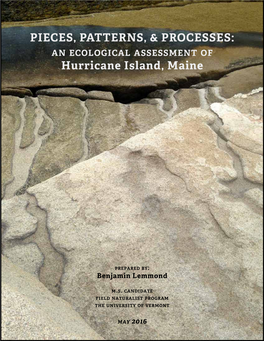 An Ecological Assessment of Hurricane Island, Maine