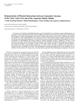 Demonstration of Physical Interactions Between Consecutive Enzymes Of