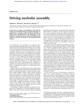 Driving Nucleolar Assembly