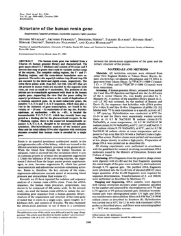 Structure of the Human Renin Gene