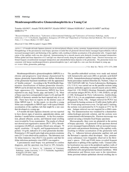 Membranoproliferative Glomerulonephritis in a Young Cat