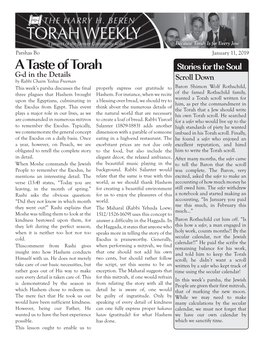 A Taste of Torah