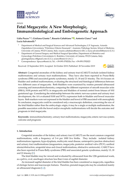 Fetal Megacystis: a New Morphologic, Immunohistological and Embriogenetic Approach