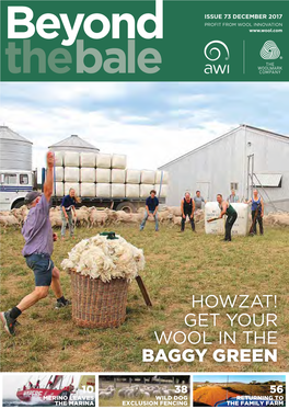 Howzat! Get Your Wool in the Baggy Green