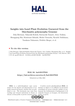 Insights Into Land Plant Evolution Garnered from the Marchantia