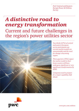 A Distinctive Road to Energy Transformation Current and Future Challenges in the Region’S Power Utilities Sector