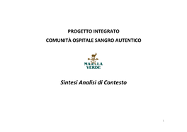 Sintesi Analisi Di Contesto