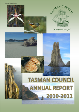 Tasman Council 10/11