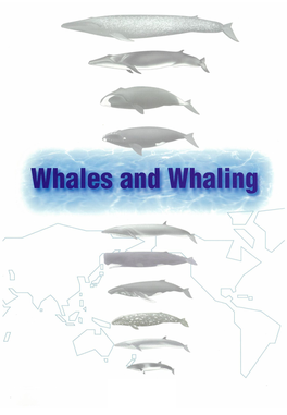 Whale Species