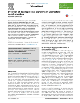 Evolution of Developmental Signalling in Dictyostelid Social Amoebas