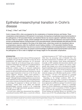 Epithelial–Mesenchymal Transition in Crohn's Disease