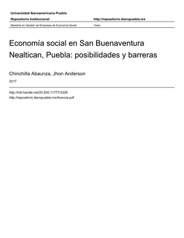 Economía Social En San Buenaventura Nealtican, Puebla: Posibilidades Y Barreras