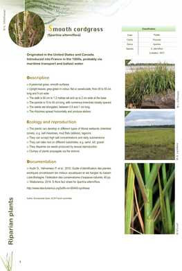 Managing Smooth Cord-Grass in Britanny