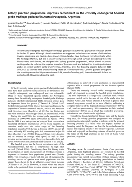 Colony Guardian Programme Improves Recruitment in the Critically Endangered Hooded Grebe Podiceps Gallardoi in Austral Patagonia, Argentina