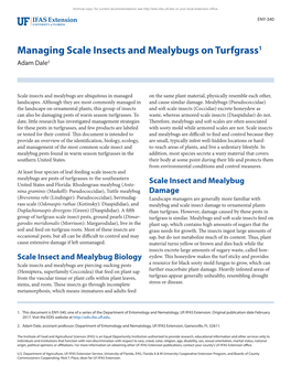 Managing Scale Insects and Mealybugs on Turfgrass1 Adam Dale2