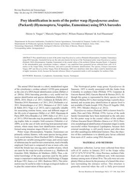 Hymenoptera, Vespidae, Eumeninae) Using DNA Barcodes