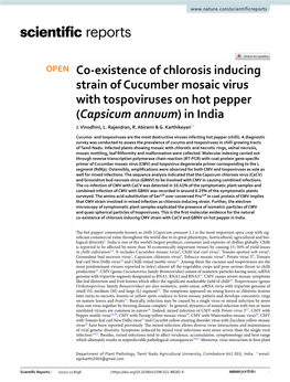 Co-Existence of Chlorosis Inducing Strain of Cucumber Mosaic Virus