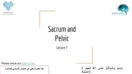 Sacrum and Pelvic Lecture 7