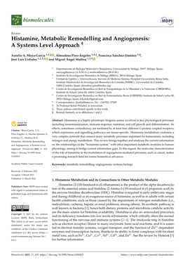 Histamine, Metabolic Remodelling and Angiogenesis: a Systems Level Approach †