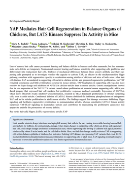 YAP Mediates Hair Cell Regeneration in Balance Organs of Chickens, but LATS Kinases Suppress Its Activity in Mice
