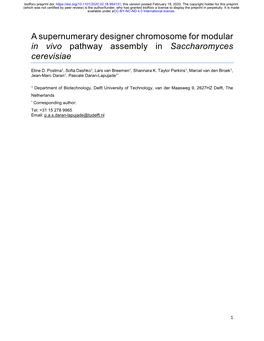 A Supernumerary Designer Chromosome for Modular in Vivo Pathway Assembly in Saccharomyces Cerevisiae