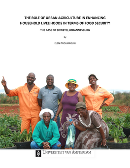 The Role of Urban Agriculture in Enhancing Household Livelihoods in Terms of Food Security