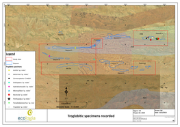 Troglobitic Specimens Recorded