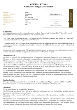 MEURSAULT 2009 Château De Puligny-Montrachet